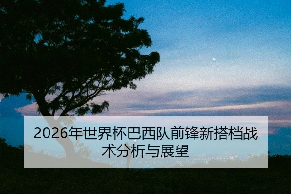 nian-shi-jie-bei-ba-xi-dui-qian-feng-xin-da-dang-zhan-shu-fen-xi-yu-zhan-wang-2-762.jpg