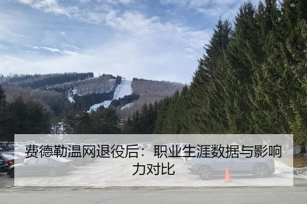 费德勒温网退役后：职业生涯数据与影响力对比